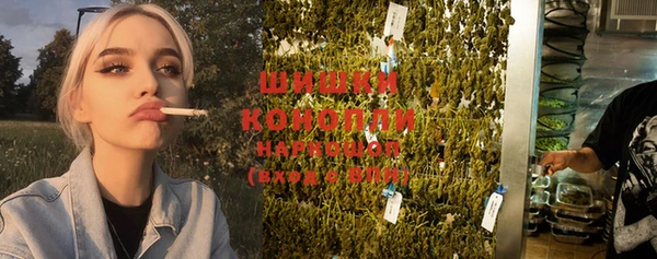 индика Куйбышев