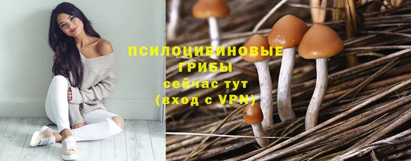 бутират Алексин
